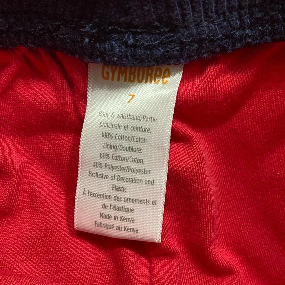 Gymboree Boys Pull On Cargo Pants with Jersey Lining Size 7